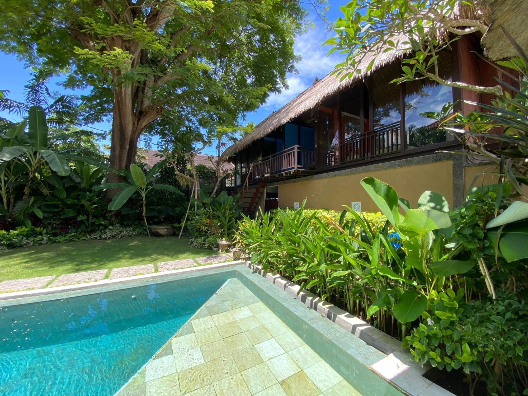 Little Tree House Hotell Sanur Rom bilde