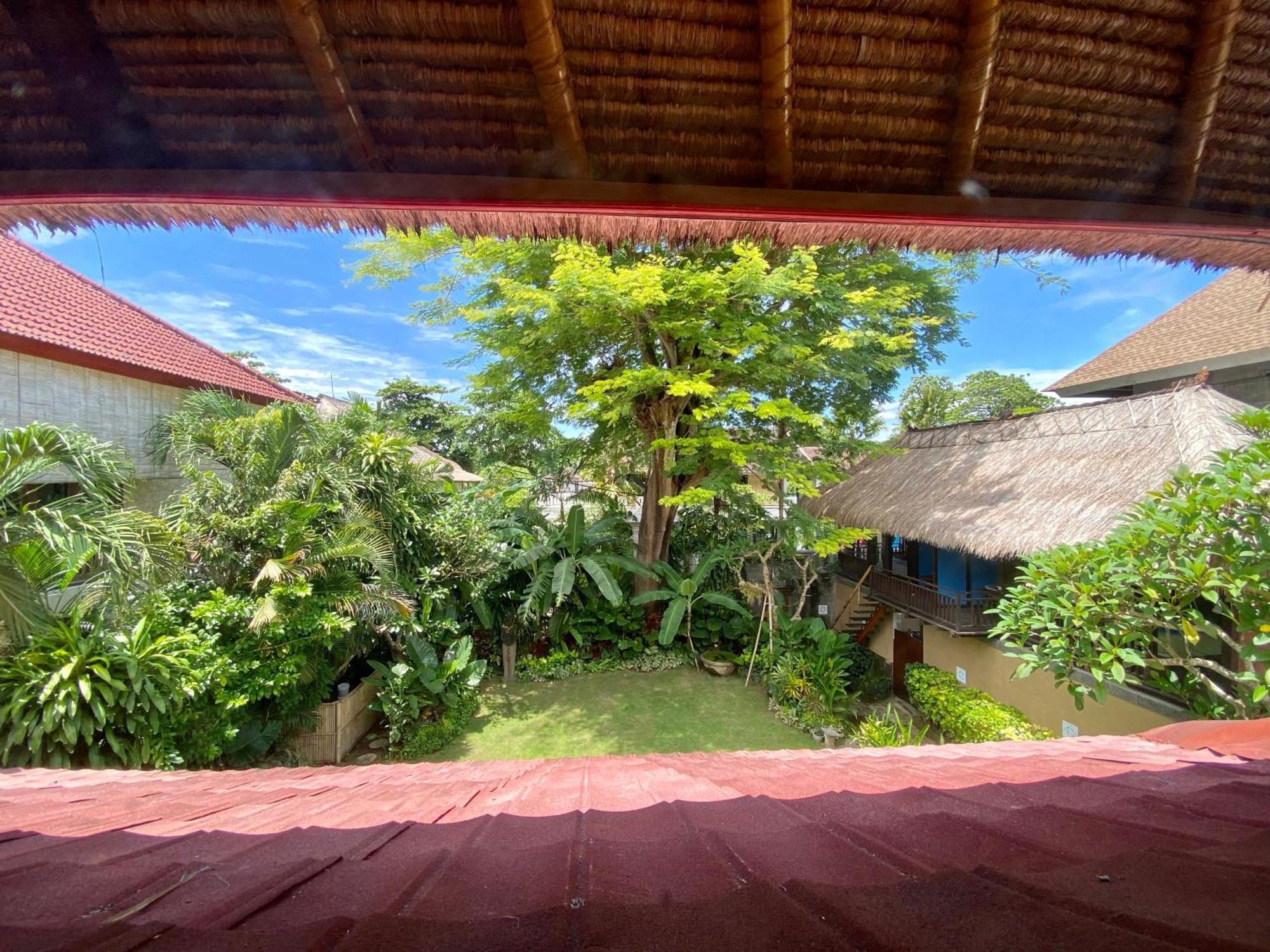 Little Tree House Hotell Sanur Rom bilde